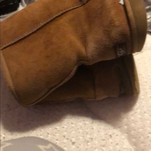 Classic Brown Uggs
